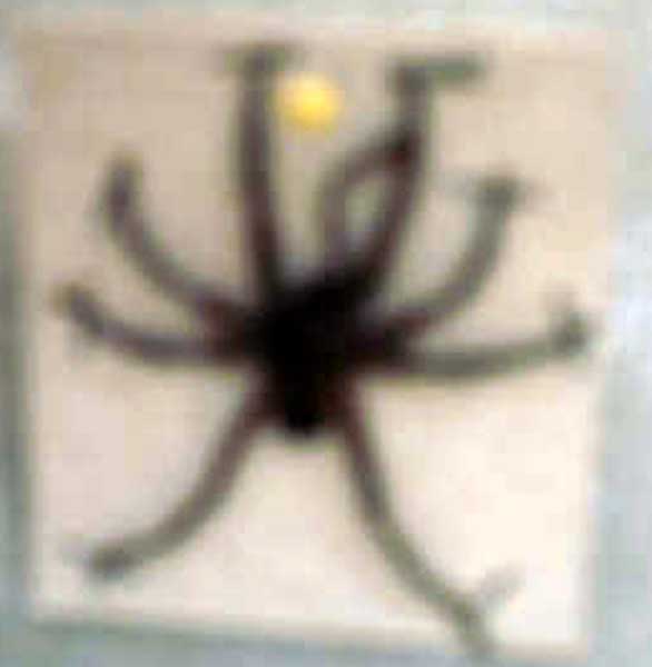 ragnosfocato.jpg